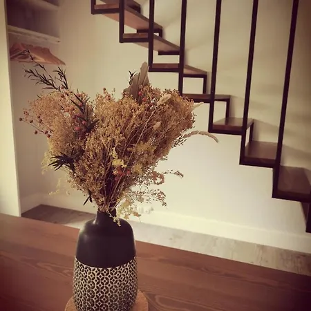 Duplex Independant Centre 아파트 *