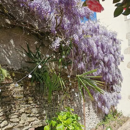 Duplex Independant Centre Apartment Les Herbiers