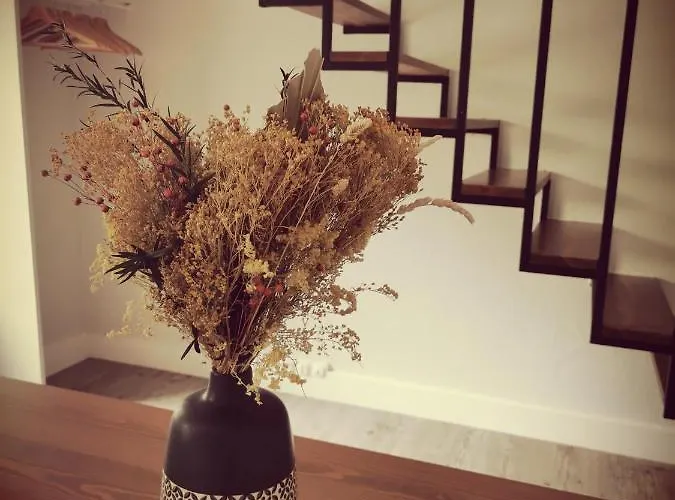 Duplex Independant Centre Appartement *