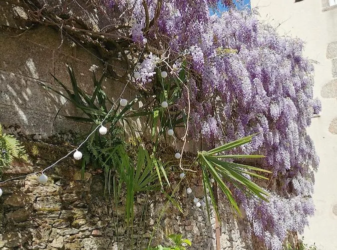 Duplex Independant Centre Appartement Les Herbiers